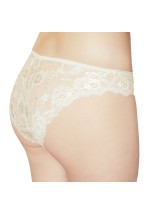 Floral Lace Briefs Knickers Champagne 3213